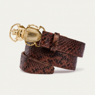 Ceinture Python Chocolat Boucle Beetle Dorée
