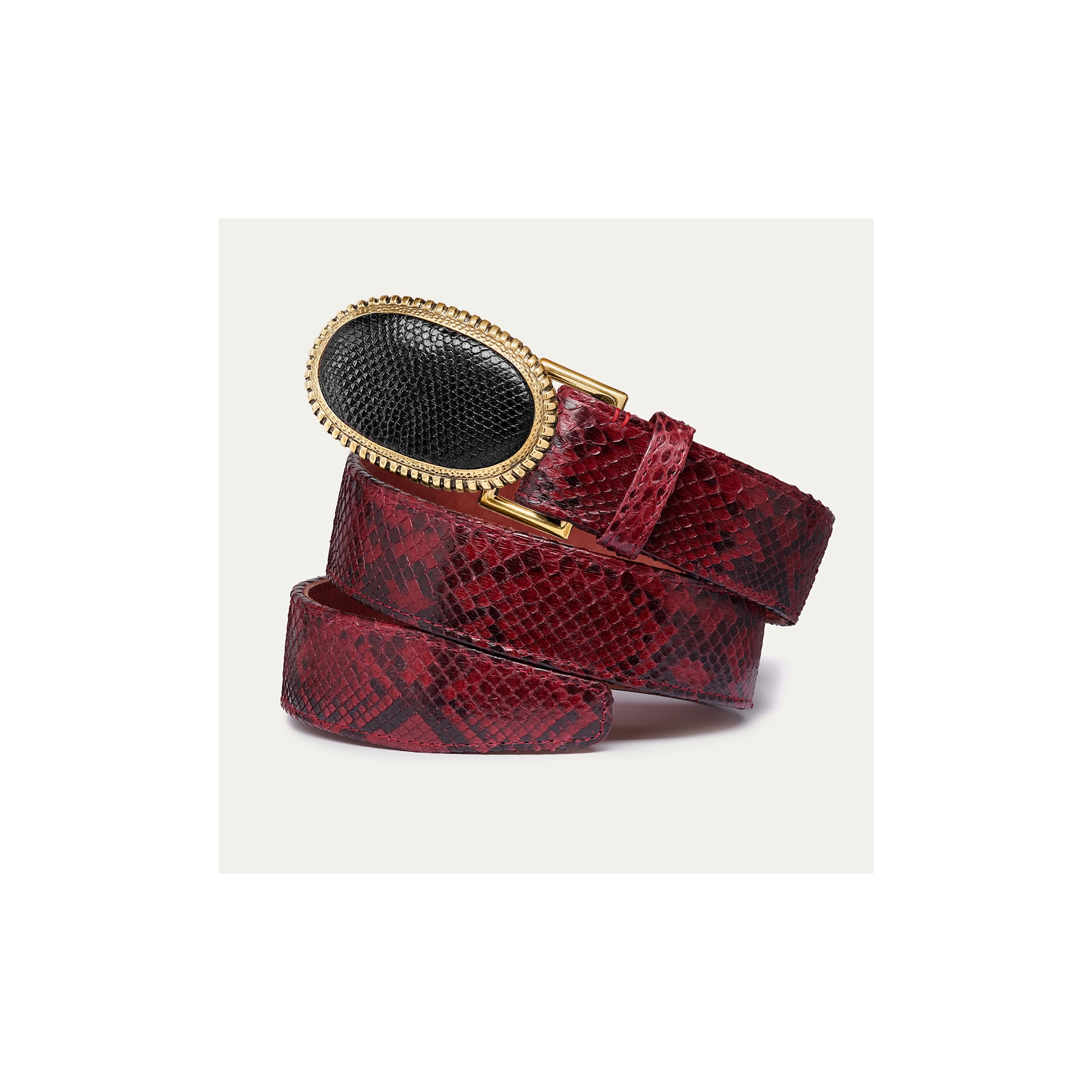 Burgundy Python Dallas Belt Black Gold