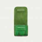 Yuzu Lizard Airpod Holder