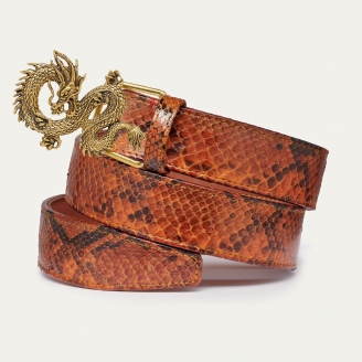 Ceinture Python Moka Dragon Dorée