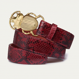 Burgundy Python Belt Golden Beetle