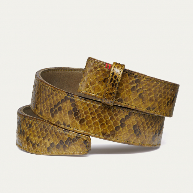 Dark Kaki Python Belt Beetle Gold Buckle