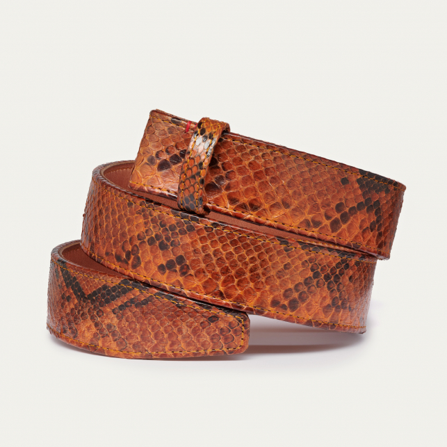 Ceinture Python Moka Tortue Dorée