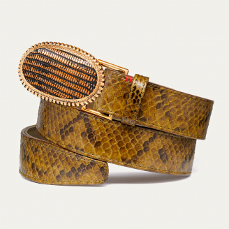 Old Gold Dallas Kaki Python Belt