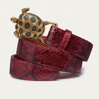 Gold Turtle Buckle