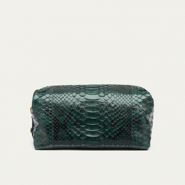 Green Forest Python Case Paulette