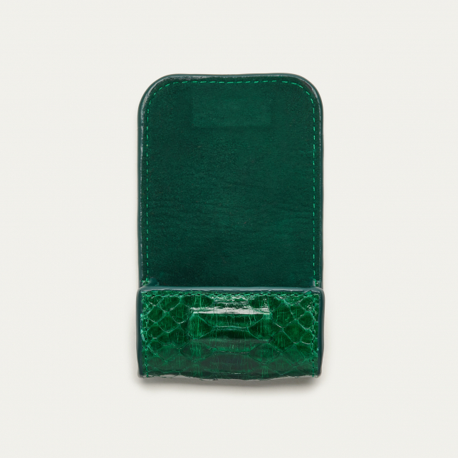 Etui Airpod Jamie Python Vert Pelouse