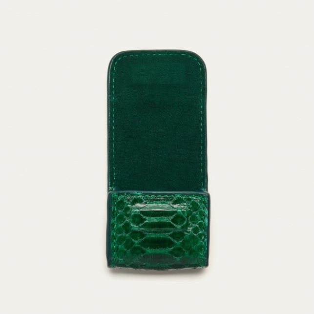 Etui Airpod Jamie Python Vert Pelouse