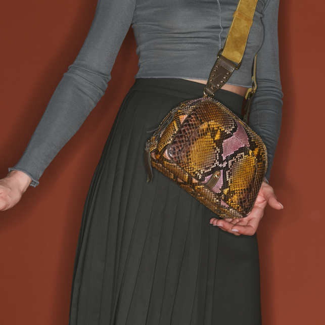 Stone Hand Painted Python Clara Bag
