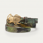 Green Valley Python Baby Belt Golden Beetle