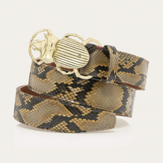 Ceinture Python Desert Scarabée Or