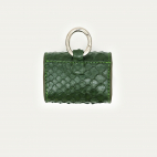 Etui Airpod Jamie Python Vert Bronze