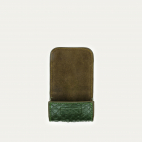 Etui Airpod Jamie Python Vert Bronze