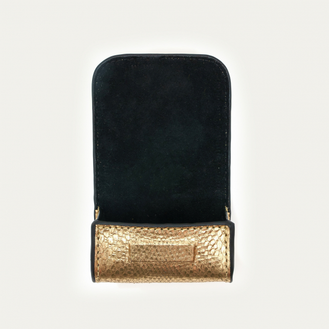 Etui Airpod Jamie Python Doré