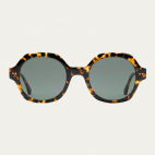 Bronzite Sulawesi Claris Virot Sunglasses