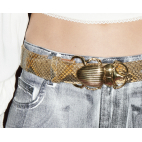 Desert Python Belt Golden Beetle