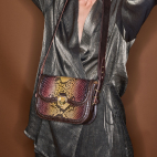 Sac Python Mini Manon Oeil De Tigre