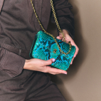 Meadow With Studs Python Mini Ava Bag