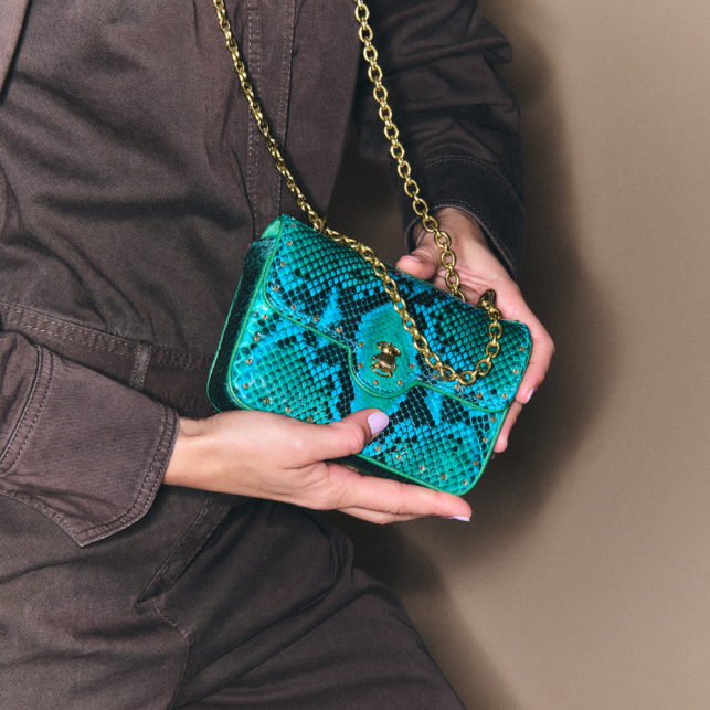 Meadow With Studs Python Mini Ava Bag