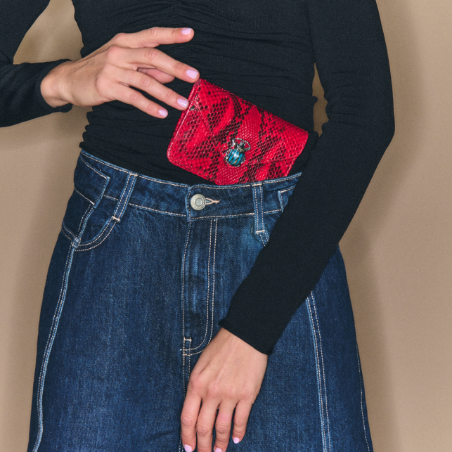 Porte Cartes Python Alex Rubis