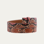 Terracotta Python Gold Beetle Baby Belt