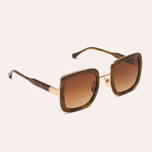 Lunettes de Soleil Celebes Brownie