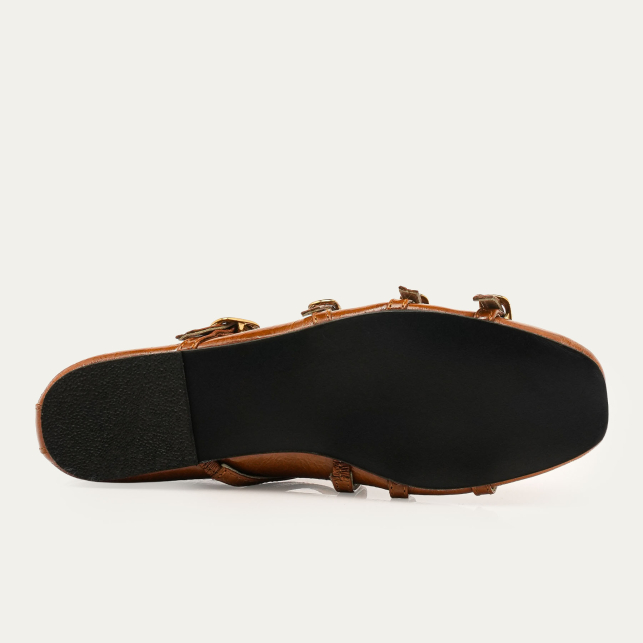 Adele Ballerinas Glossy Siena Leather