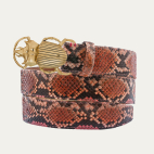 Terracotta Python Gold Beetle Belt