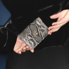 Python Card Holder Alex Ash Gold Beatle