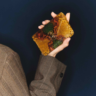Python Verdambra Alex Card Holder Gold Beatle