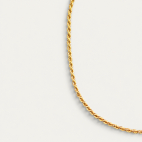 Twisted Gold Long Chain