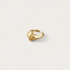 Scarab Signet Ring Gold