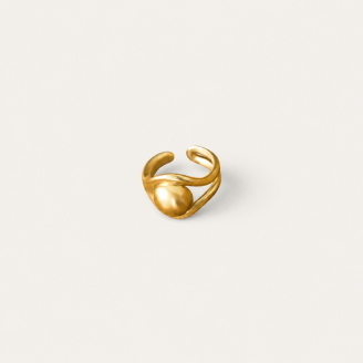 Bague Chevalière Osmose