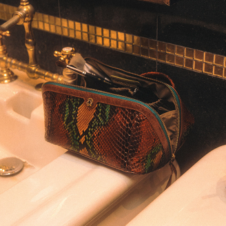 Oasis Python Charlotte Case