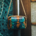 Charly Python Lotus Bleu