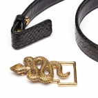 Golden Snake Buckle