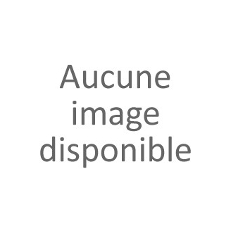 Ceinture Dragon